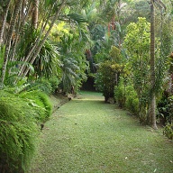 Lush driveway from lower gate