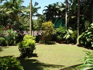 Lower garden area 2