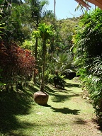Middle garden area